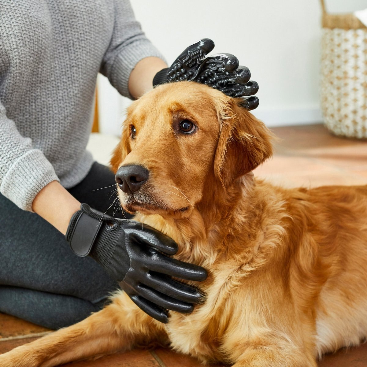 Frisco Dog and Cat Deshedding and Grooming Gloves， Black