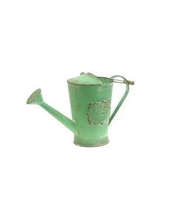 Garden Watering Can Galvanized Simple Metal Water Can creative vintage water cane garden Zinc Color logo print