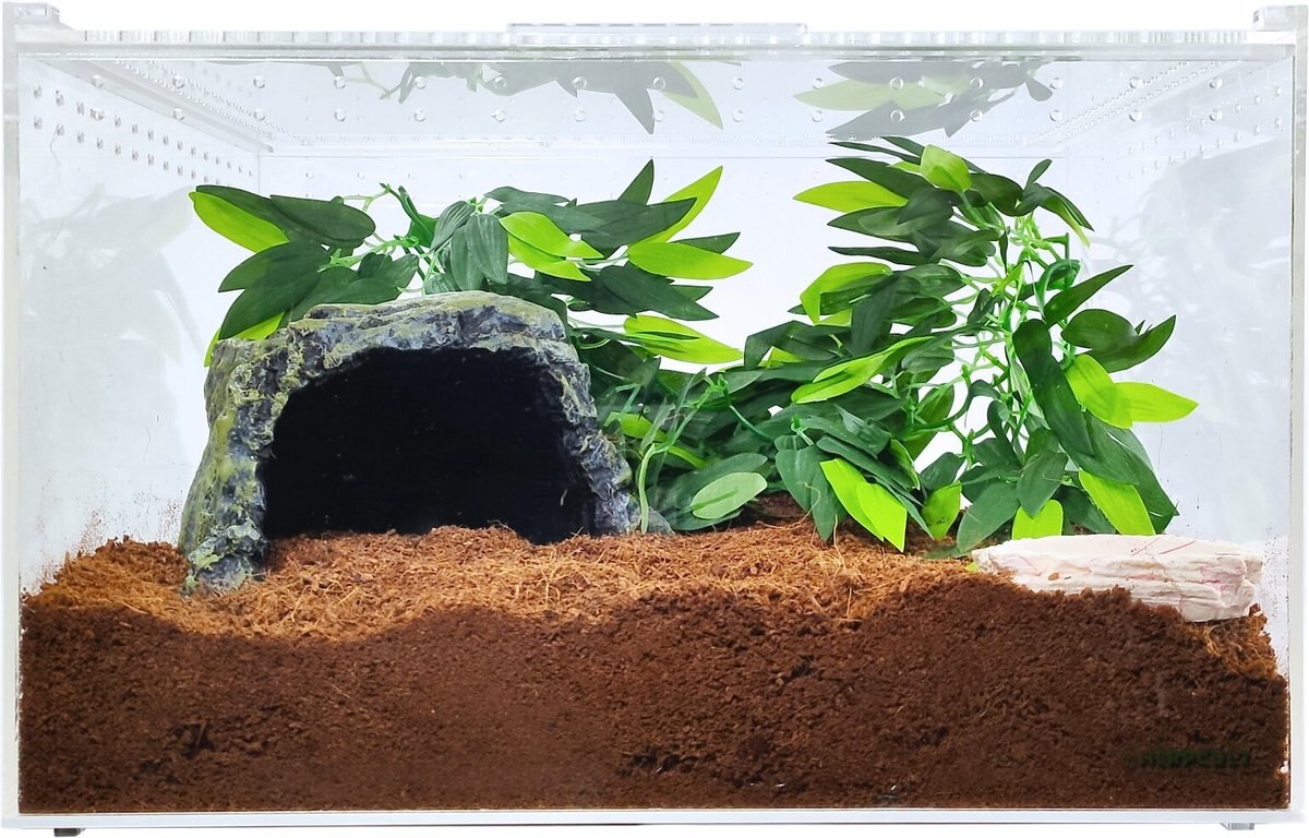 HerpCult Acrylic Clear-Top Reptile Habitat， 8.3-gal