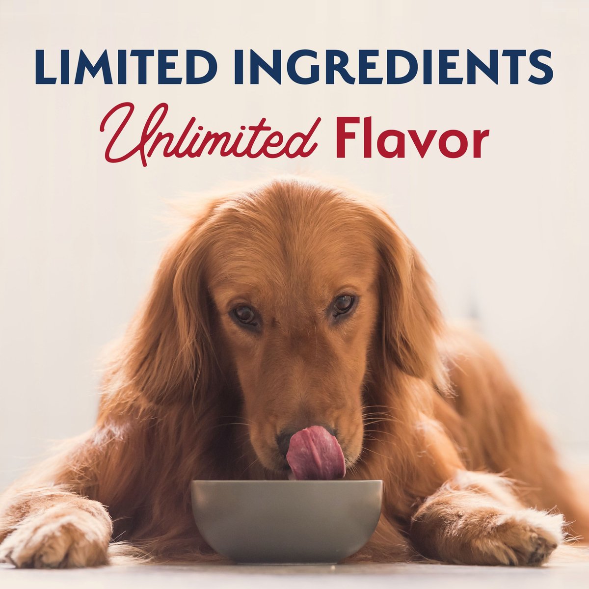 Natural Balance Limited Ingredient Reserve Grain-Free Sweet Potato and Bison Recipe Dry Dog Food