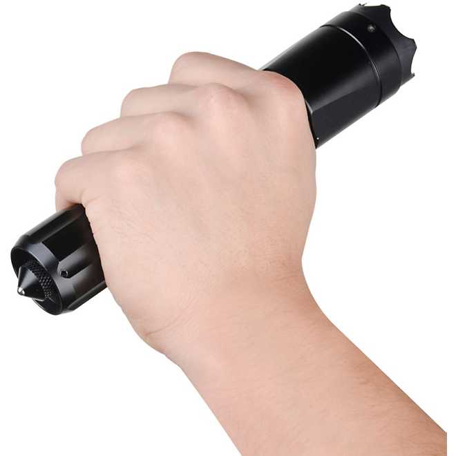 Guard Dog Security Katana Rechargeable 400L Flashlight Stun Gun And Striker