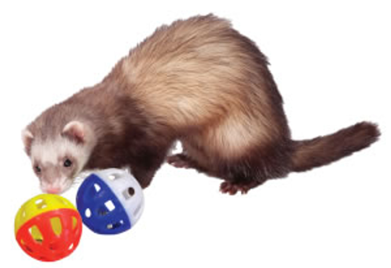 Marshall Ferret Plastic Bell Play Toys