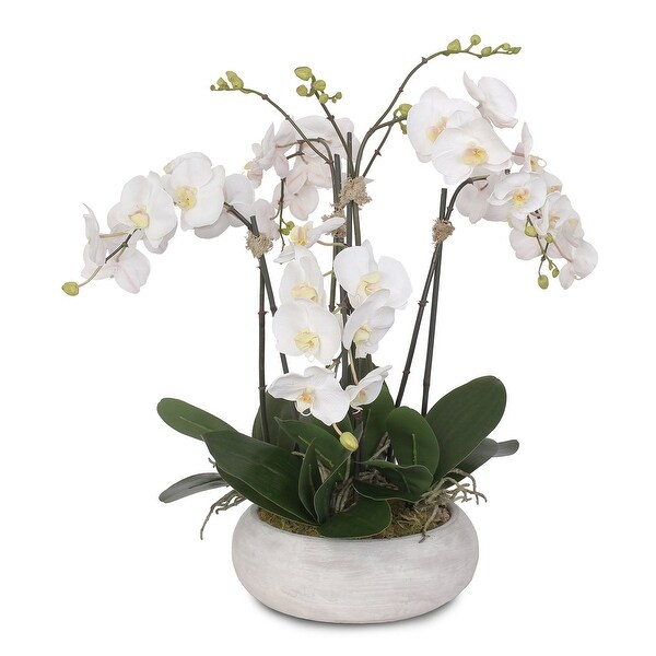 Two Tone White Silk Phalaenopsis Orchids Arrangement in Pot