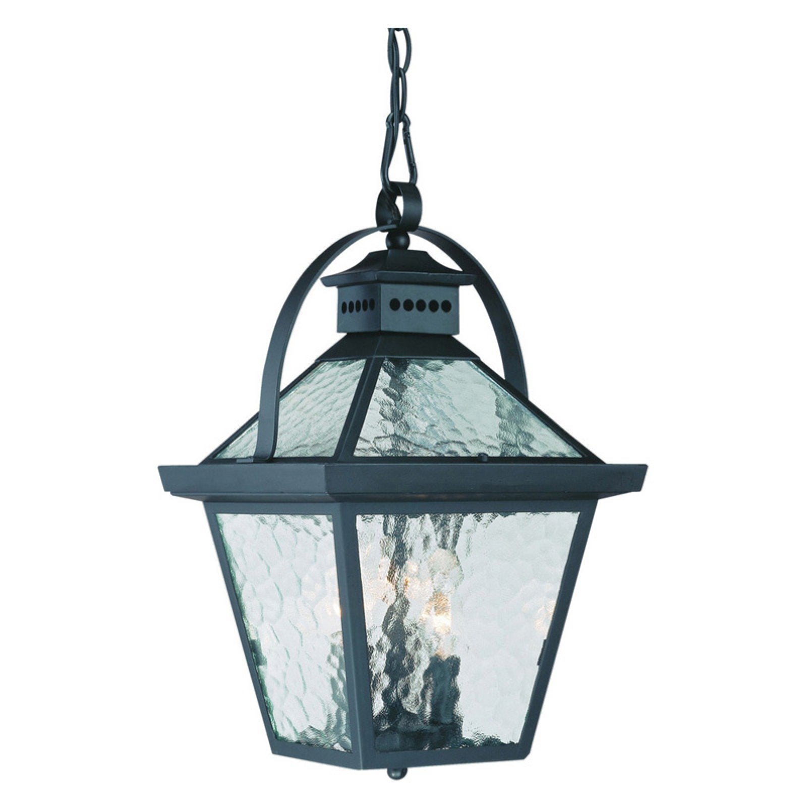 Acclaim Lighting Bay Street 9.75 in. Outdoor Hanging Lantern Light Fixture