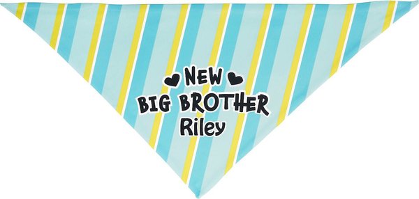 Frisco Big Brother Personalized Dog and Cat Bandana