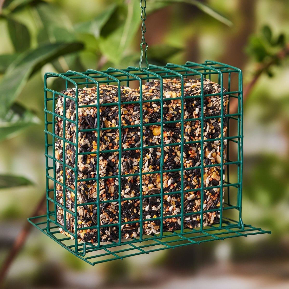 Kaytee Woodpecker Seed Cake Wild Bird Food