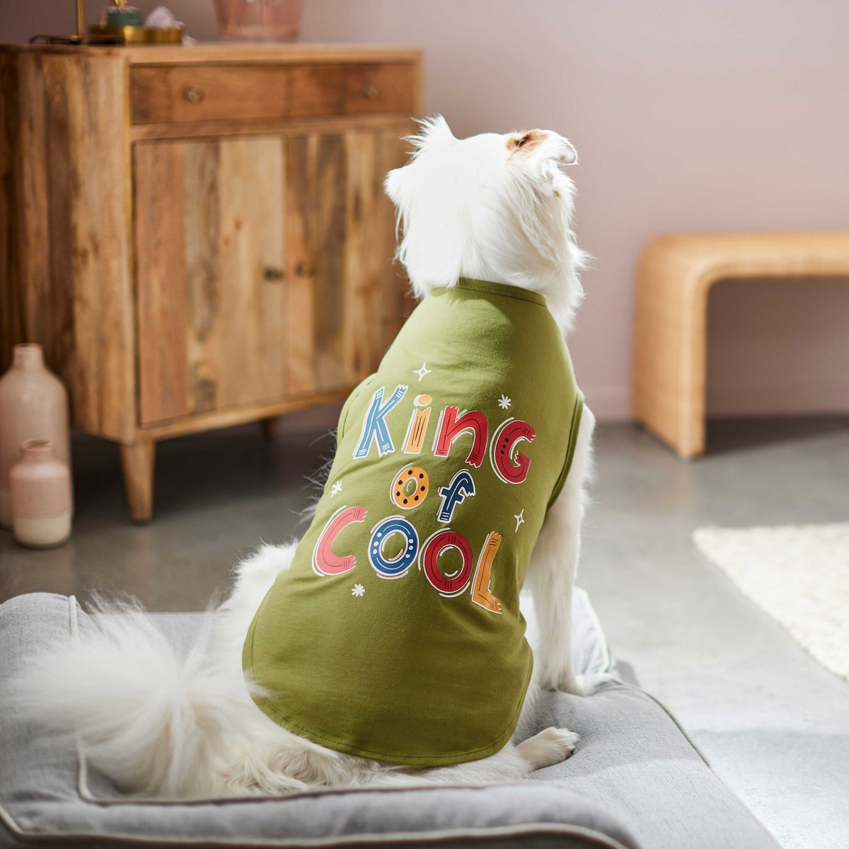 Frisco King of Cool Dog and Cat T-Shirt