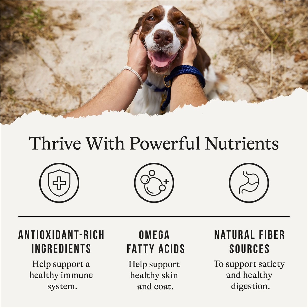 American Journey Healthy Weight Chicken and Sweet Potato Recipe Grain-Free Dry Dog Food