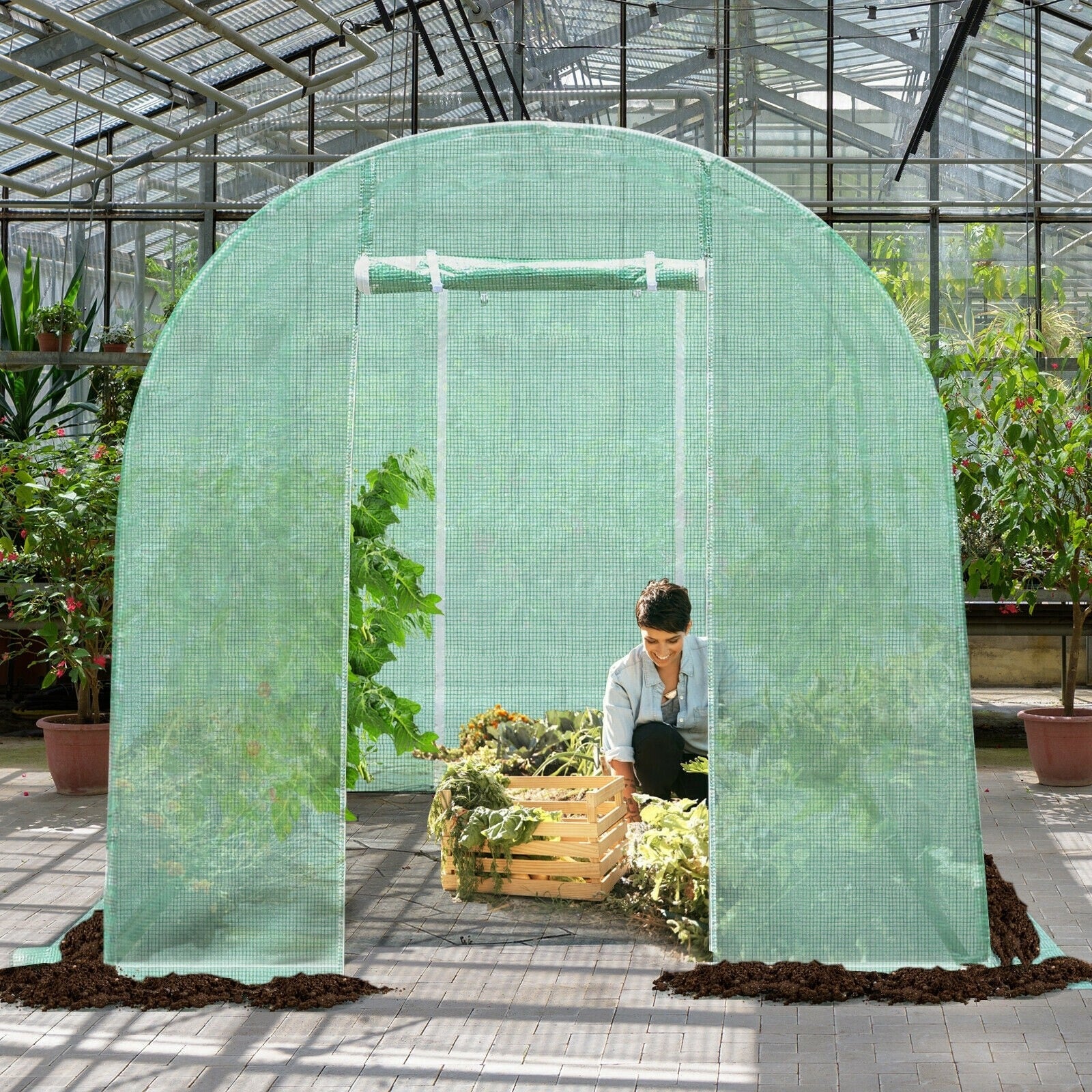 Portable Steel Frame Walk-in Greenhouse with 6 Windows