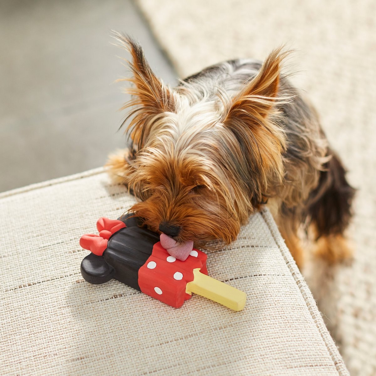 Disney Minnie Mouse Ice Pop Latex Squeaky Dog Toy