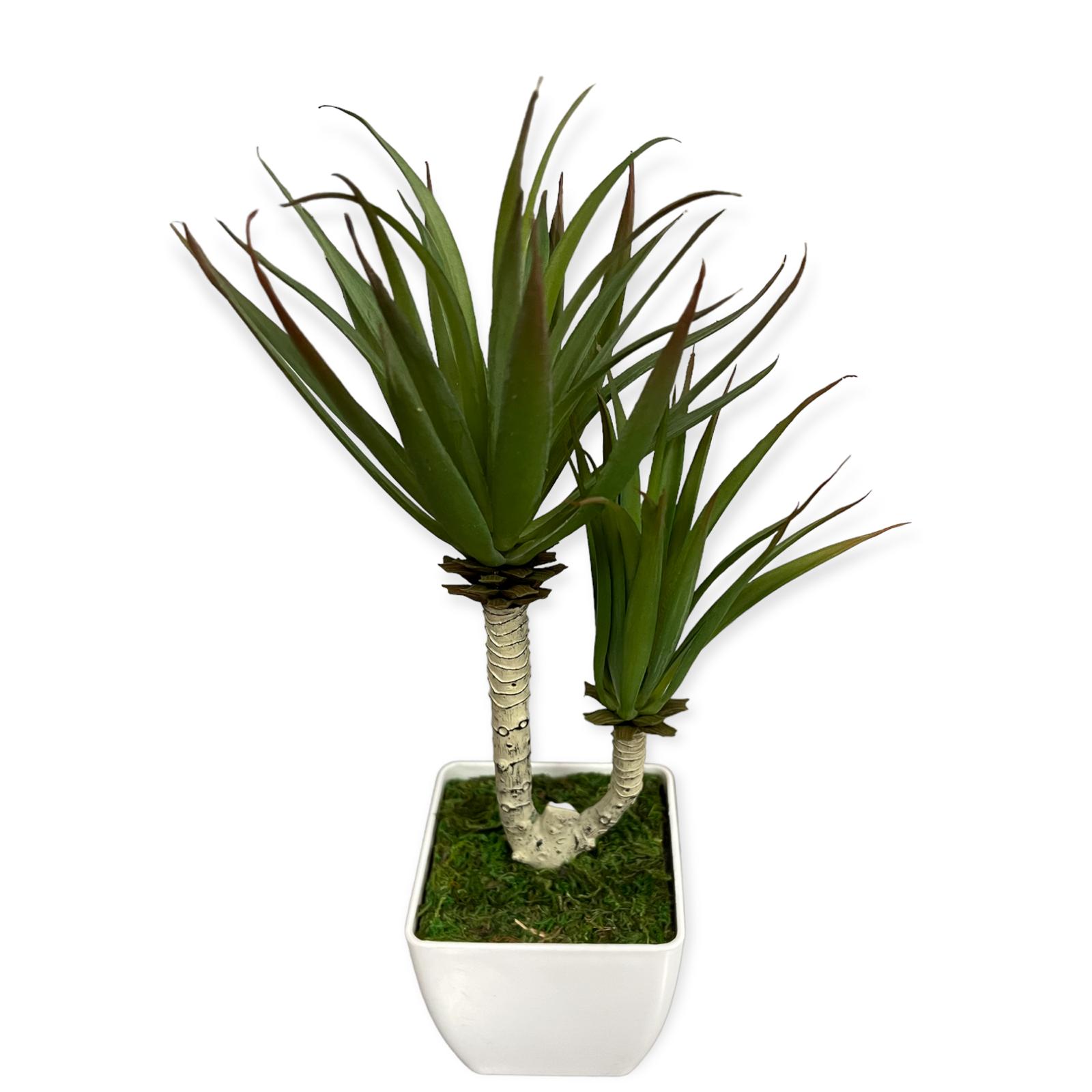 Artificial Plant : Yucca Plant