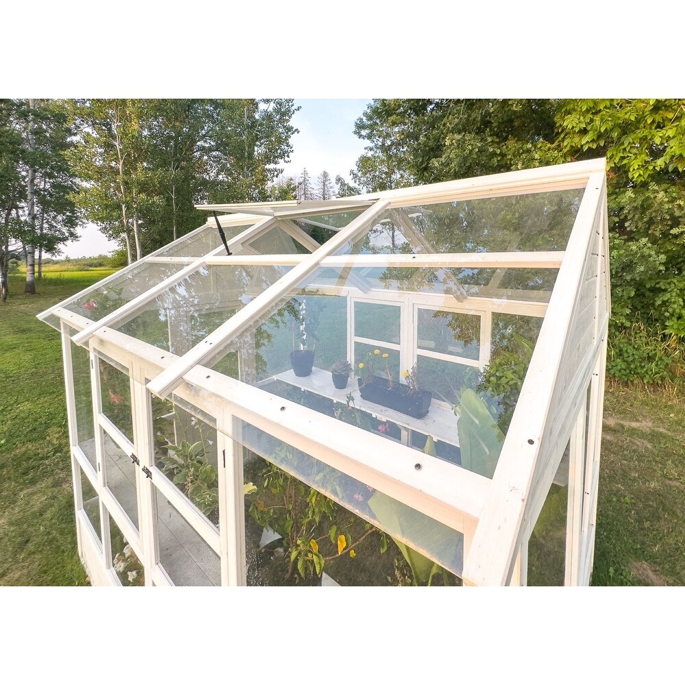 Zylina XL Hobby Greenhouse   103 x 78 x 89