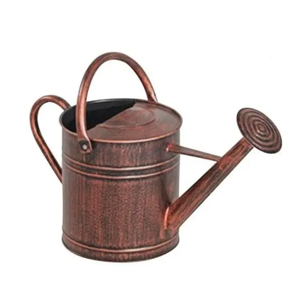 Handmade Flower and plant irrigation can green color pleasant designed watering can garden plant water sprinkler