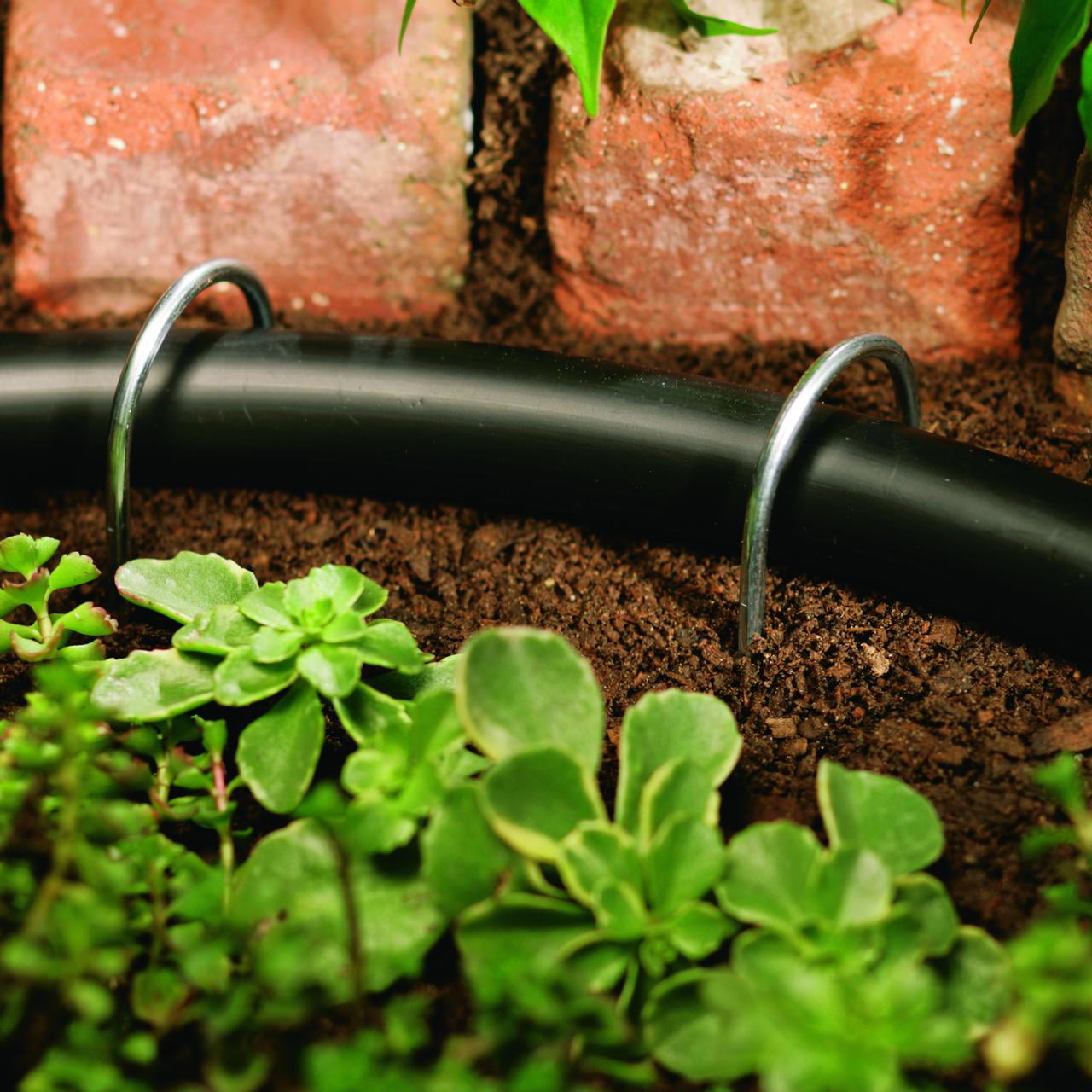 Orbit Irrigation 1/2 inch 50 Foot Black Drip Distribution Tubing