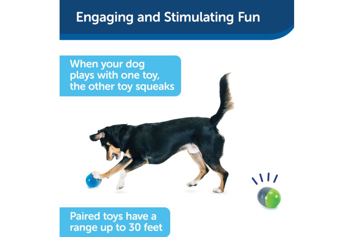 PetSafe Ricochet Electronic Dog Toys