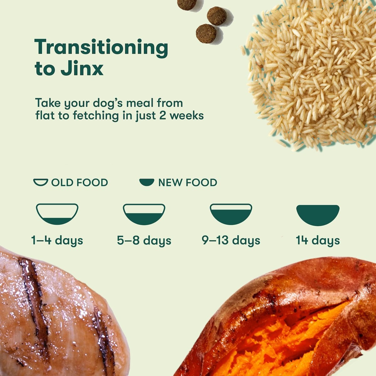 Jinx Chicken， Brown Rice， Sweet Potato Kibble Dry Dog Food， 11.5-lb bag