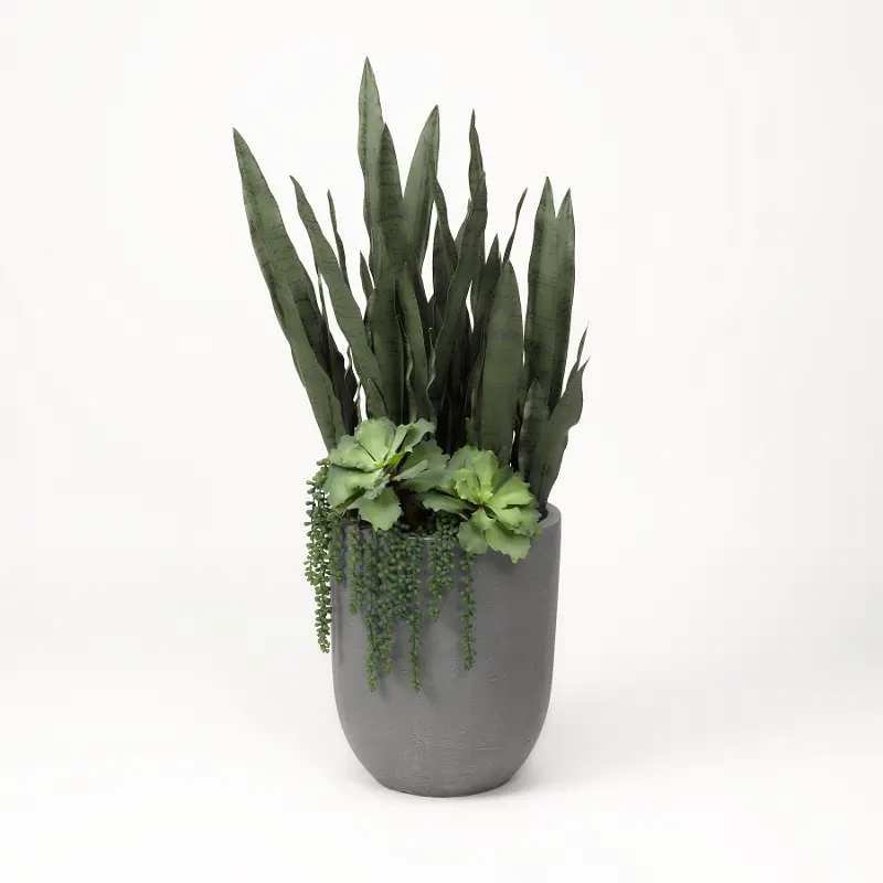 Faux Green Senaveria， Echeveria， and Cedum Arrangement in Gray Container