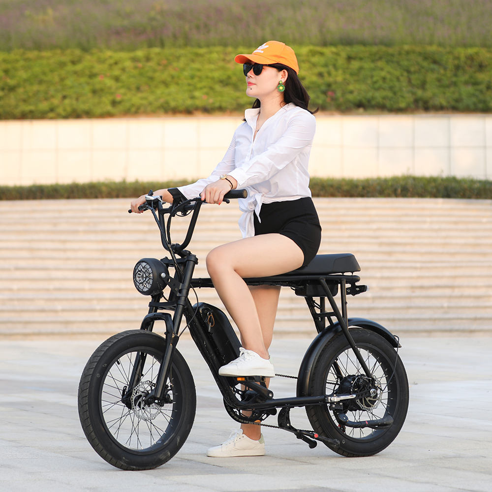 Eu Warehouse Full Suspension Retro 1000w Ebike E Fatbike Stealth Bomber 500w 750 Watt 20inch Fat Tire Electric Bike