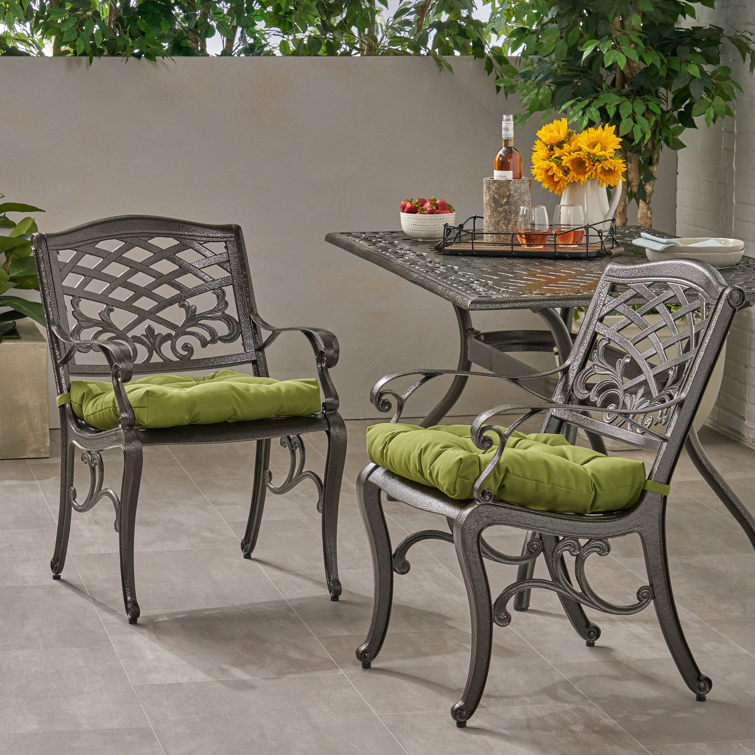 Juel Outdoor Dining Chair with Cushion (Set of 2)