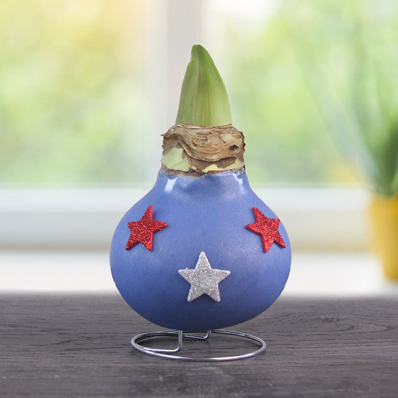 Freedom Waxed Amaryllis Flower Bulb with Stand， No Water Needed， Real Live Flowers - Just Needs Sunlight