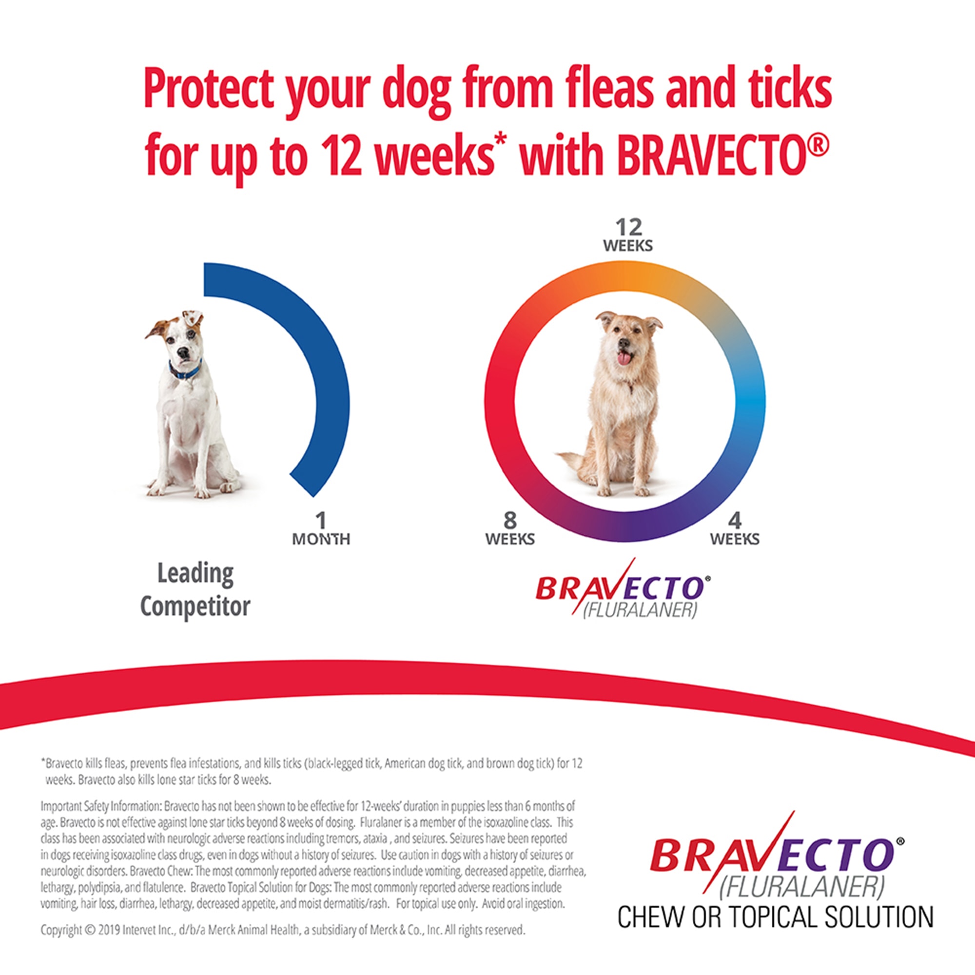 Bravecto Chews For Dogs 44-88 Lbs， 3 Month Supply  | Large Dogs， Bravecto Chewable， Bravecto Tablets， Bravecto Pill For Dogs