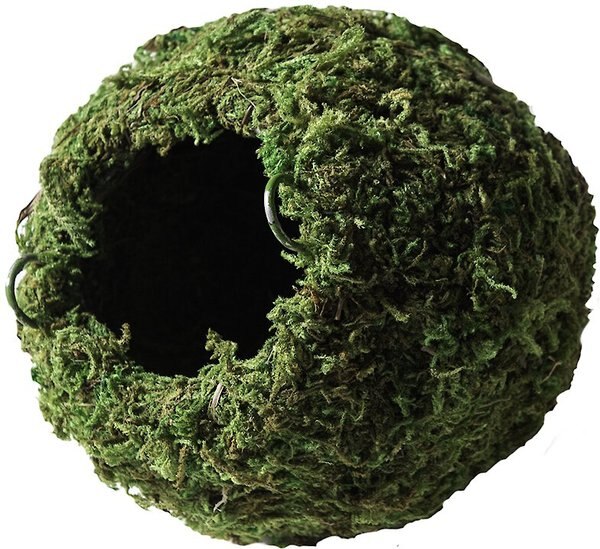 Galapagos Mossy Cave Reptile and Amphibian Terrarium Accessory