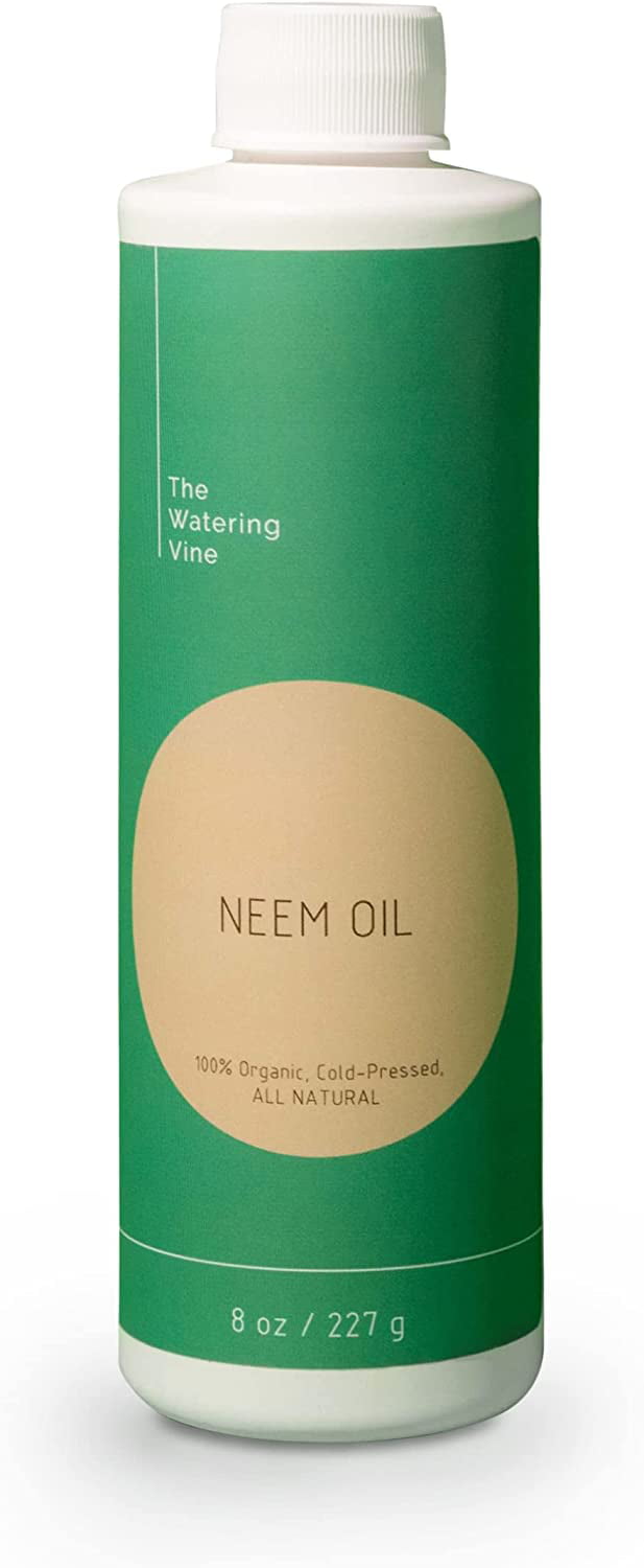 The Watering Vine  Organic Neem Oil Plant Spray and Leaf Polish (8 oz)