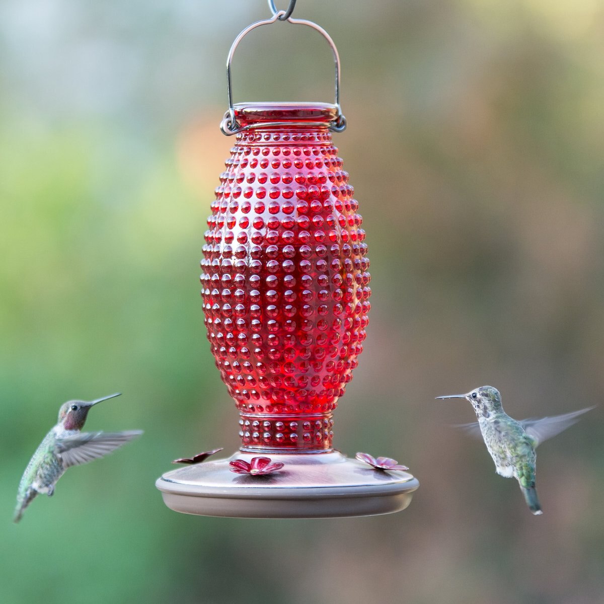 Perky-Pet Red Hobnail Vintage Hummingbird Feeder