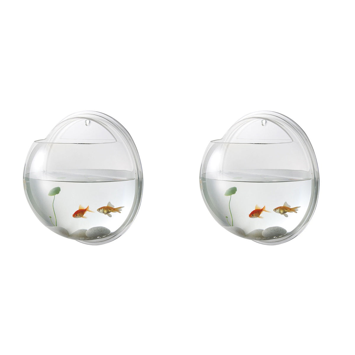 Frcolor Fish Wall Hanging Aquarium Tank Aquarium Mounted Bowl Pot Supplies Tanks Planter Betta Bubble Acrylic Bubble Tank