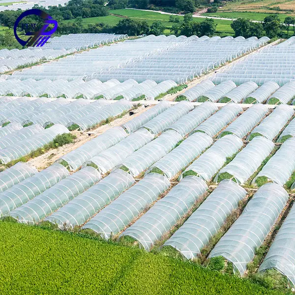 Winter Greenhouse System Supply Single Span Greenhouses For Agriculture