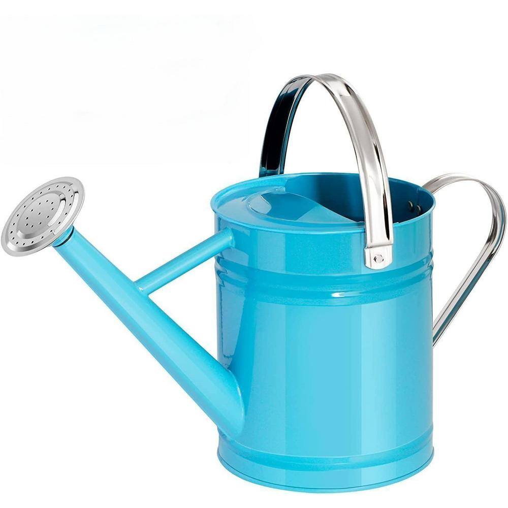 Cubilan 1 Gal. Metal Watering Can for OutdoorIndoor Plants Galvanized Steel Watering Can with Stainless Steel Handle B09J1H64WB