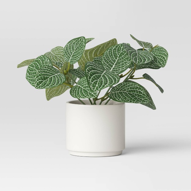 Artificial Mosaic Leaf Plant