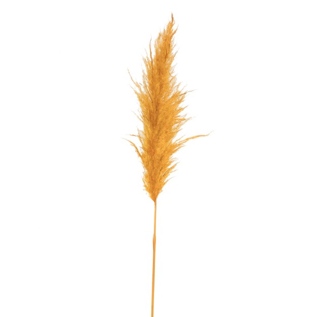 Dried Aspen Gold Pampas Grass， 6 Pieces Per Pack. It Includes Two Stems With Medium Plumes That Range From 3