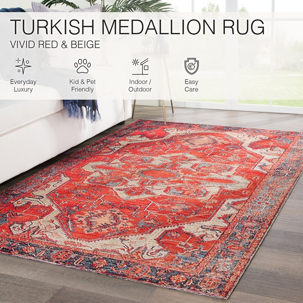 Leighton Indoor and Outdoor Medallion Area Rug