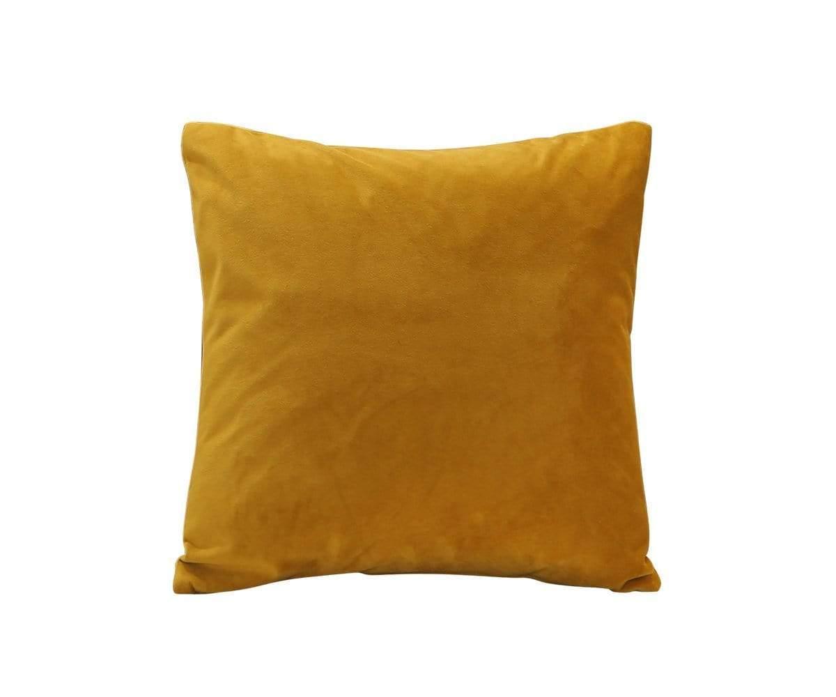 Joei Velvet Pillow