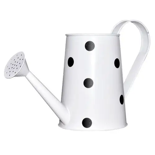 Garden Decorative Water Cane Classic Design Most Popular Hot Selling Metal Water Can Home Affordable Price