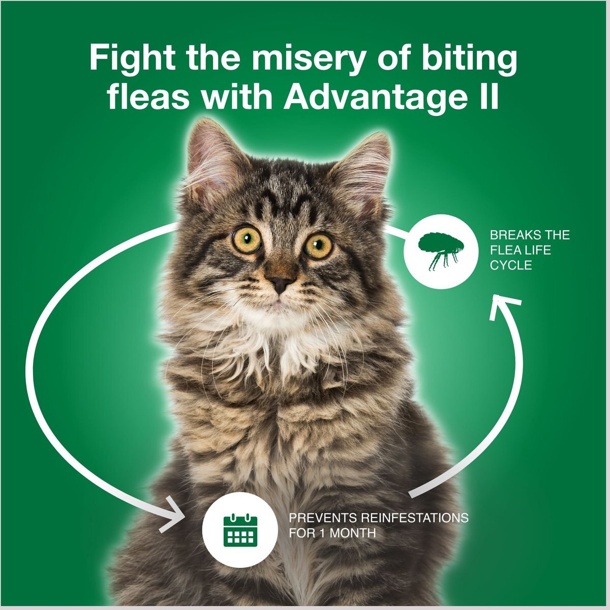 Advantage II Flea Spot Treatment for Cats， over 9 lbs