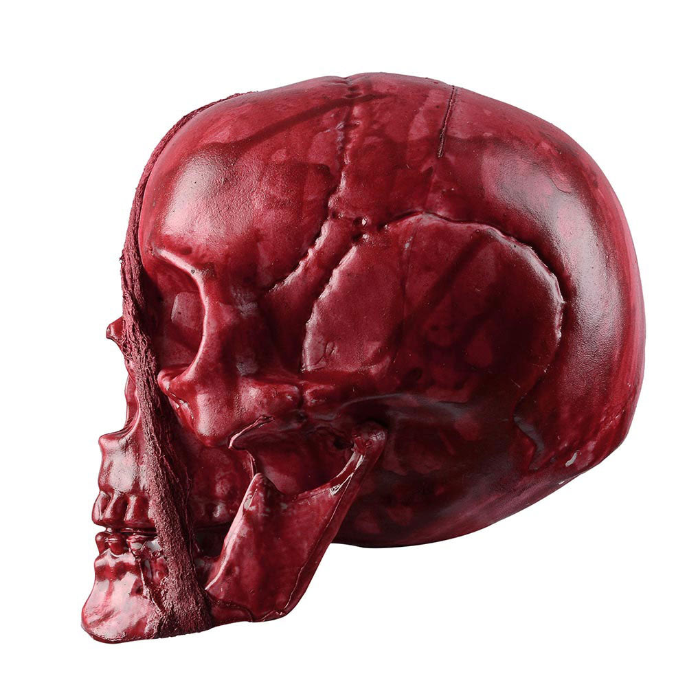 Yescom Skeleton Head Red Halloween Prop Decor