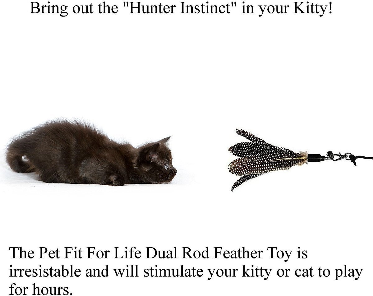 Pet Fit For Life 2 Guinea Feather Wand Cat Toy