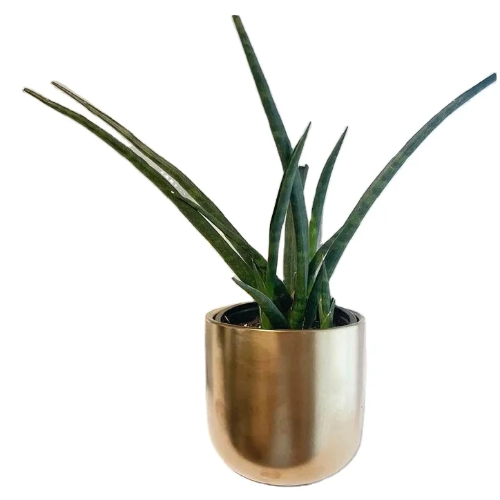 Small Size Classic Design Metal Planter Home Indoor Outdoor Garden Usage Customized Size Metal Planter Manufacture by India