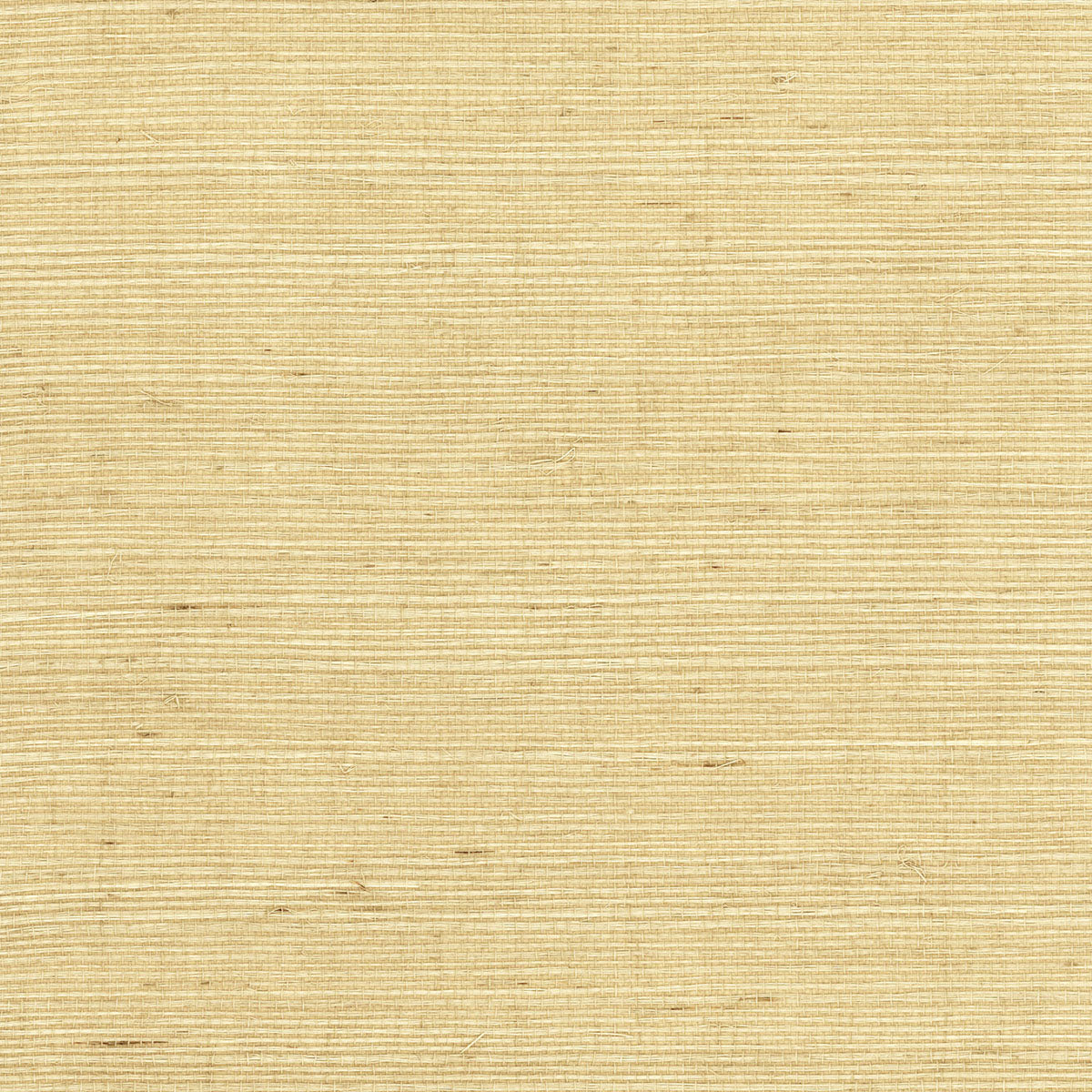 Sample Sisal Grasscloth Wallpaper in Desert Limestone from the Luxe Retreat Collection