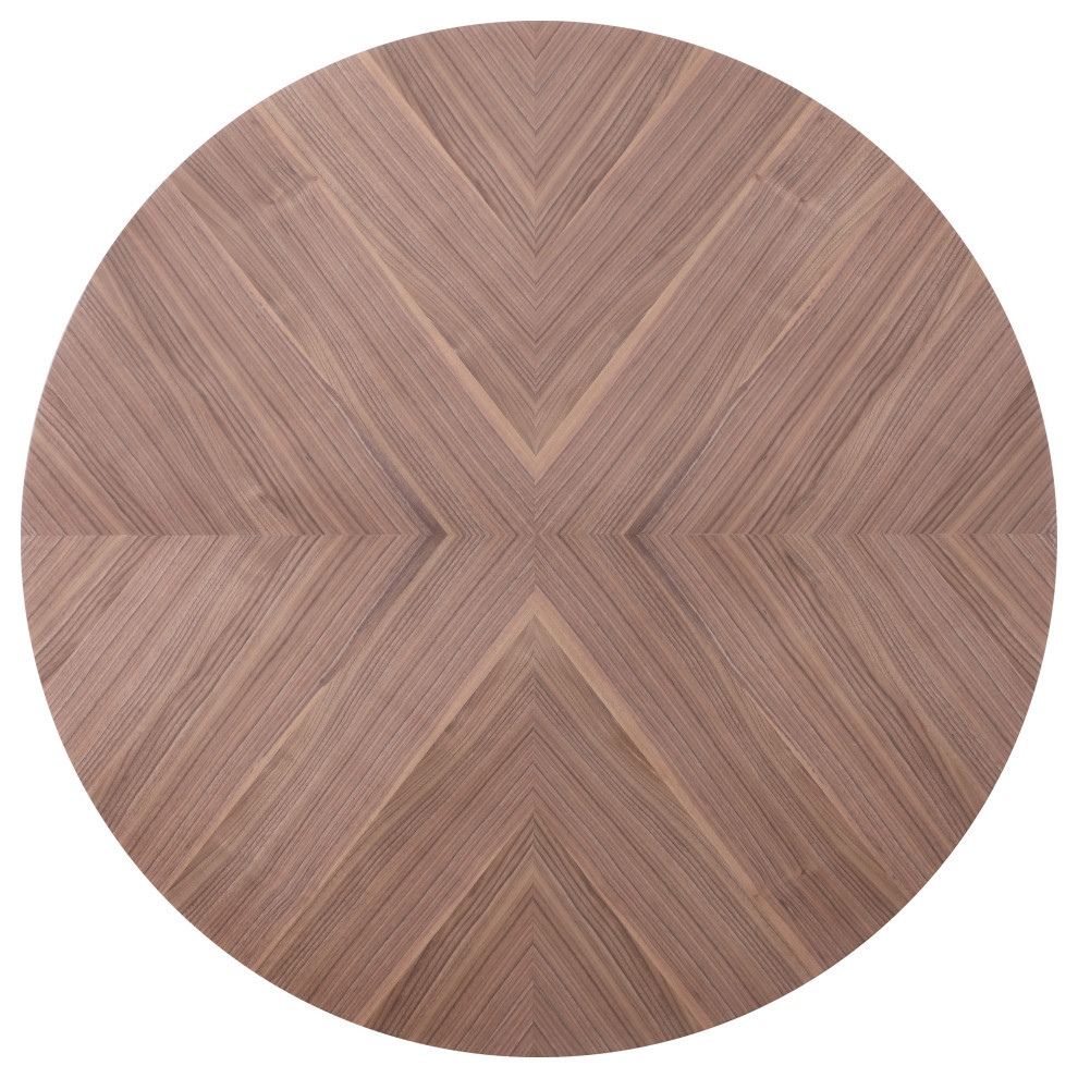 Eleanor Rich Walnut Veneer Coffee Table  Gold Base   Contemporary   Coffee Tables   by Meridian Furniture  Houzz