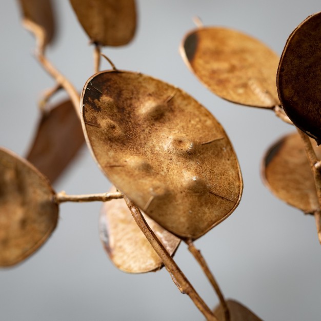 Sullivans Artificial Dried Brown Linaria Stem 33