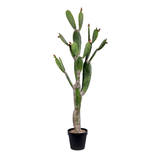 Vickerman 57 Artificial Green Cactus，Black Plastic Planters Pot.