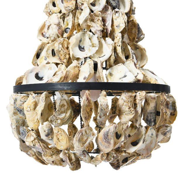 Oyster Shell Chandeiler Storied Home