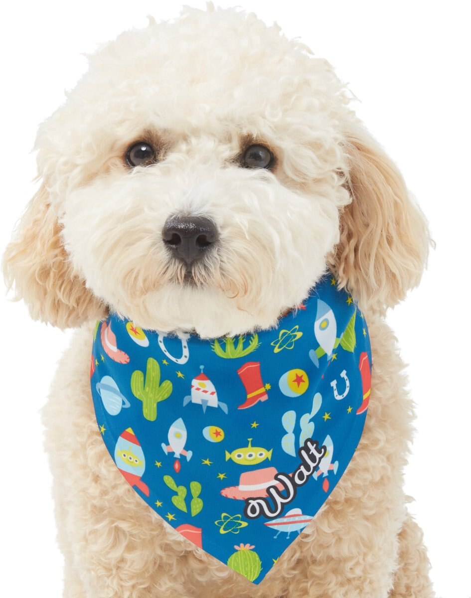 Pixar Toy Story Personalized Dog and Cat Bandana