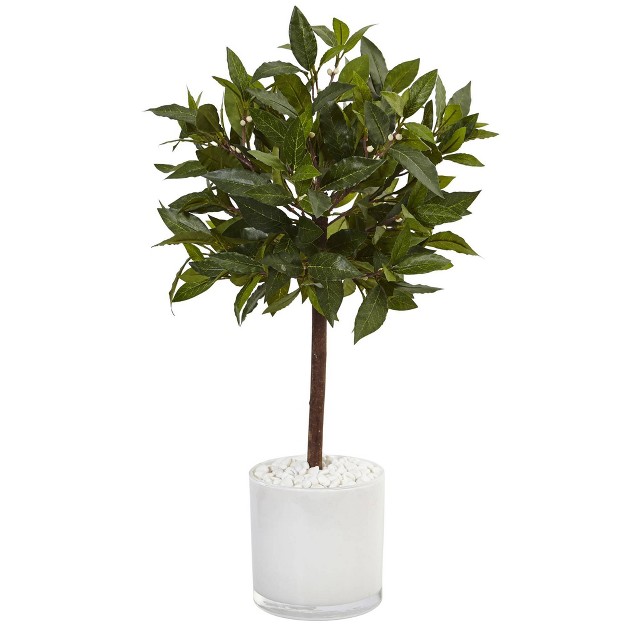 2ft Artificial Sweet Bay Tree In White Glossy Cylinder Nearly Natural