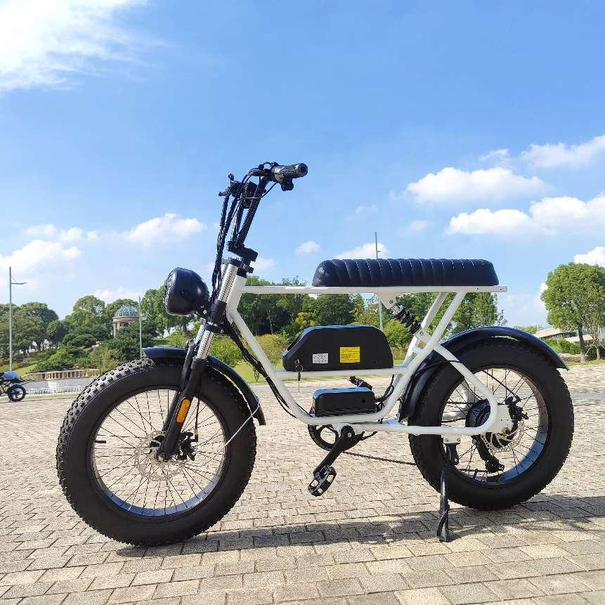 aitaier 48V 350W 500W 750W Motor Full Suspension Retro Vintage E Bike Ebike Dirt Mountain Fat Tire Bicycle Electric Bike