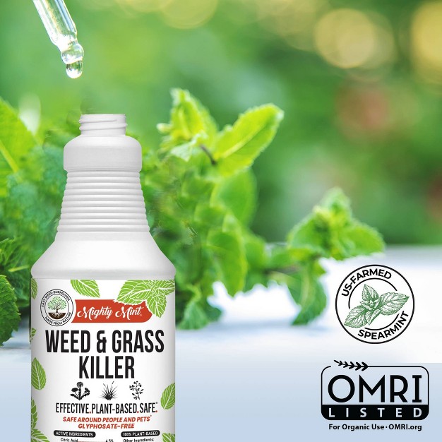 Mighty Mint 31oz Outdoor Weed And Grass Killer