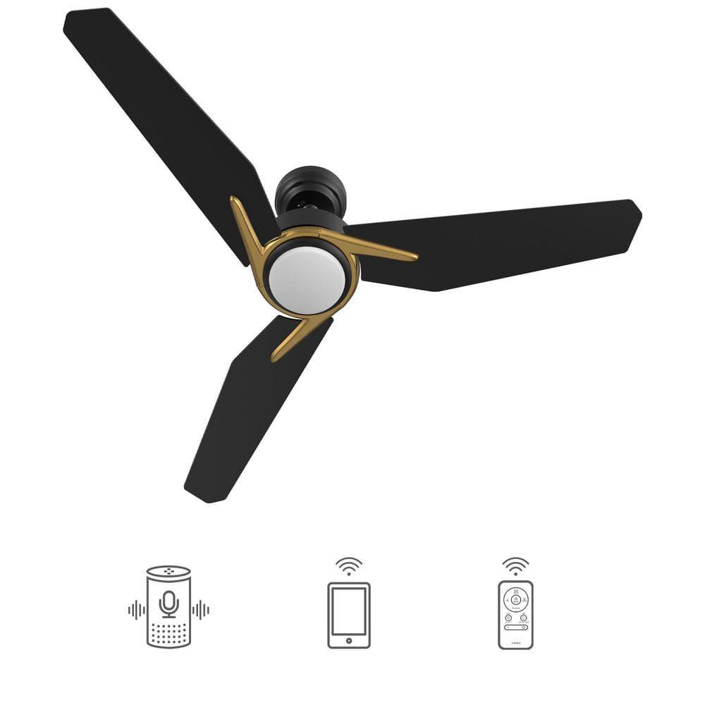 CARRO Tilbury 48 in Integrated LED IndoorOutdoor Black Smart Ceiling Fan with Light and Remote Works with AlexaGoogle Home